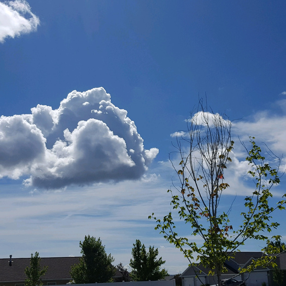 Meet your Posher, Shellie - Picture 2 of 6